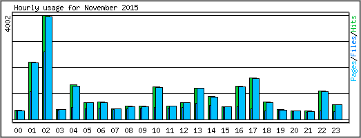 Hourly usage
