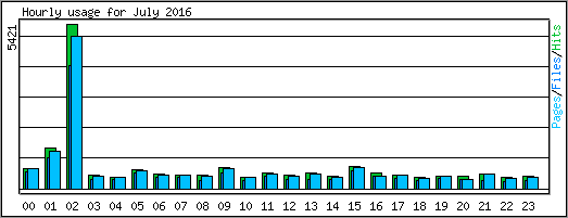 Hourly usage