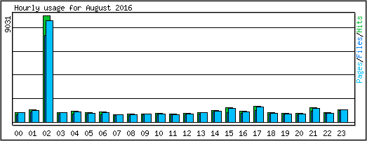 Hourly usage