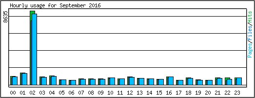 Hourly usage