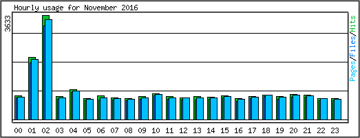 Hourly usage