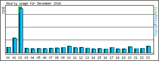 Hourly usage
