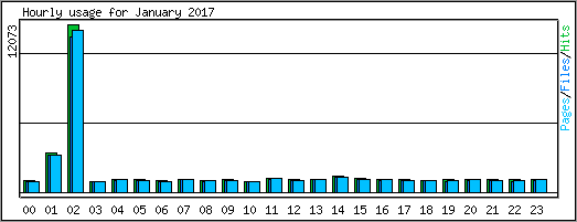 Hourly usage