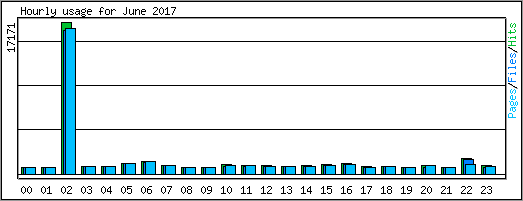 Hourly usage