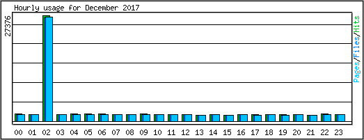 Hourly usage