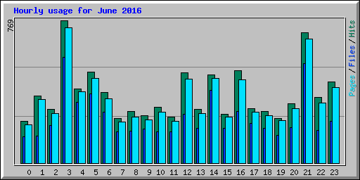 Hourly usage for June 2016