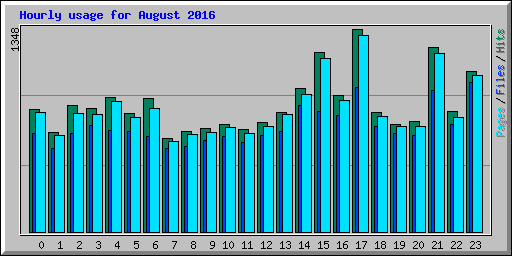 Hourly usage for August 2016