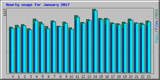 Hourly usage for January 2017